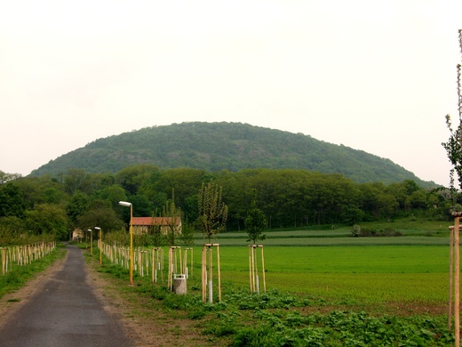 2013 č.280 - Sokol - Roudnice - Říp.jpg