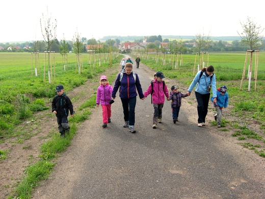 2013 č.281 - Sokol - Roudnice - Oldovi nejmenší cestou na Říp.jp