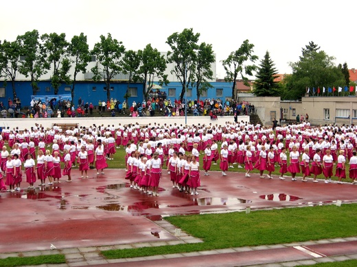 2013 č.315 - Sokol - Roudnice - uprostřed celek našich že - viz 