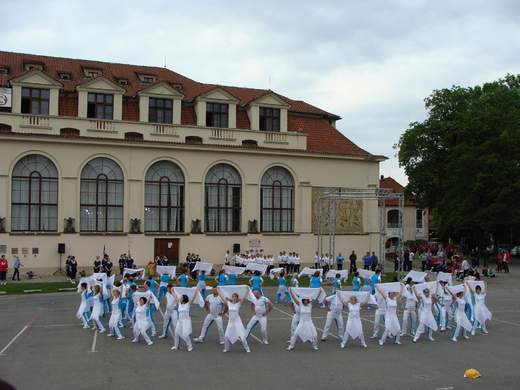 DSC03783.jpg