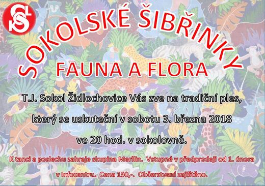šibřinky jpg.jpg
