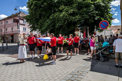Sokol-2.jpg