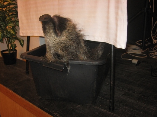 Tombola3.JPG